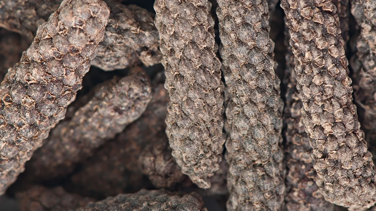 Long pepper and cancer: what science says about its benefits